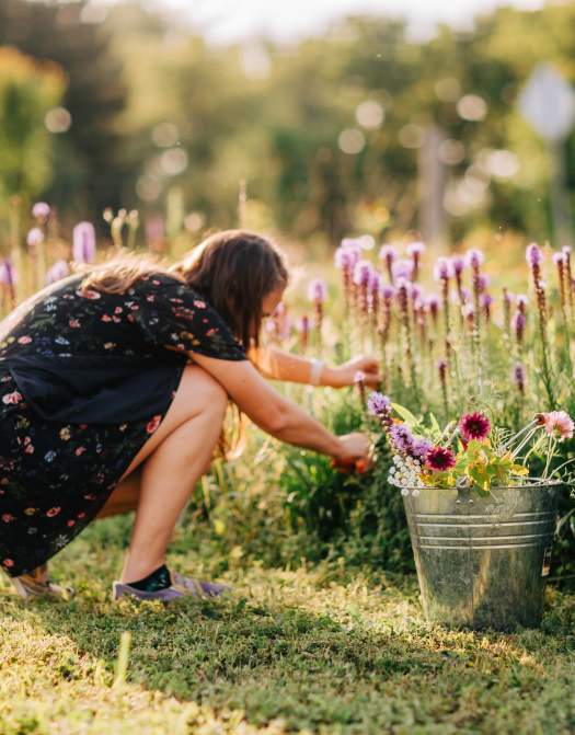 Makkink's Flower Farm: Cut Your Own Bouquet of Flowers and Happiness