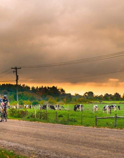 Full Speed Ahead: Ingersoll Safe Cycling Committee Makes Cycling in Oxford an Attractive Proposition
