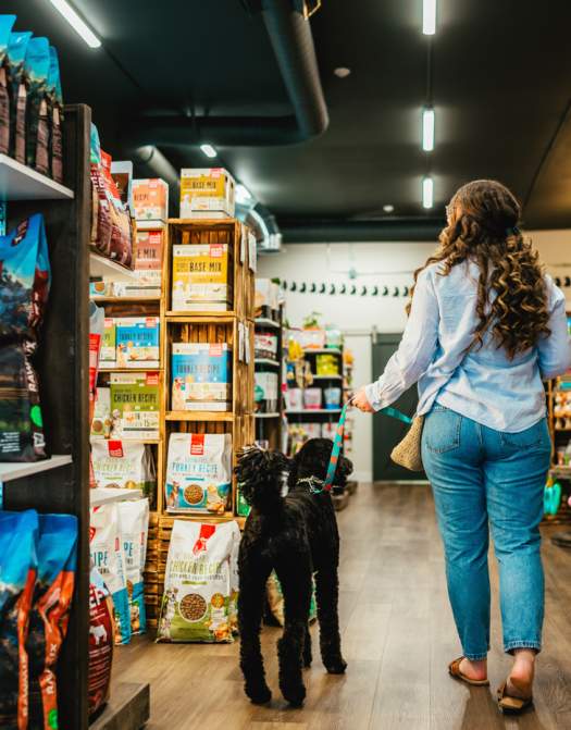 Santa Paws Approved: A Holiday Guide for Pets & Their Humans