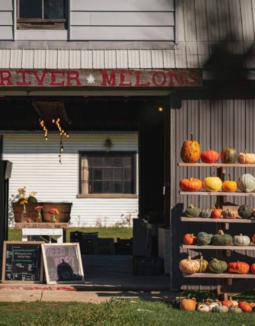 The Fall Bucket List