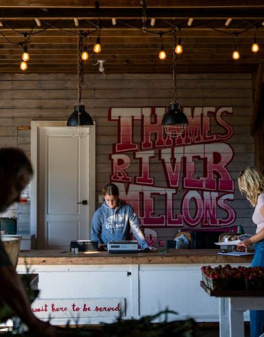 Thames River Melons: A Pick-Your-Own Paradise and Cozy Farm Market