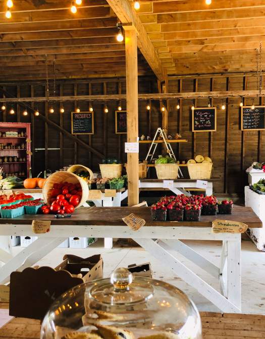 Thames River Melons: A Pick-Your-Own Paradise and Cozy Farm Market