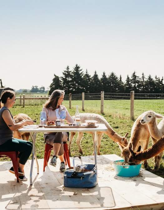 6 Best Ways to Explore the Oxford County Cheese Trail this Fall