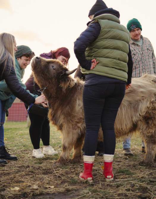 Udderly Ridiculous Farm Life