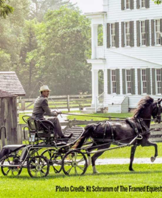 Wade House Carriage Driving Days