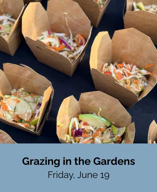 Grazing in the Gardens