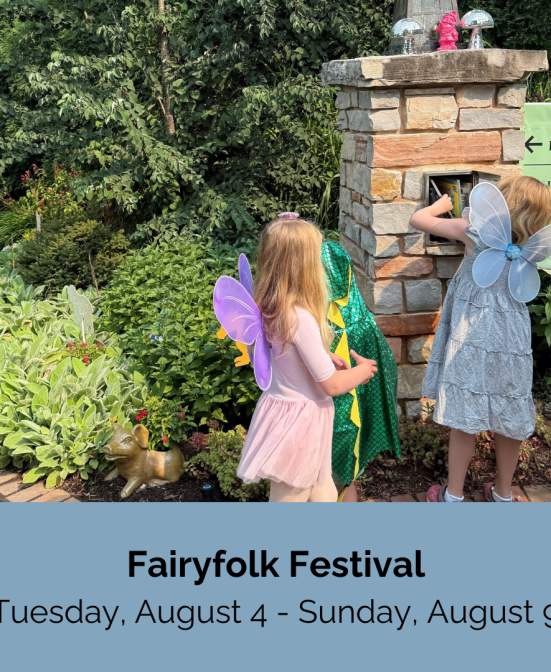 Fairyfolk Festival