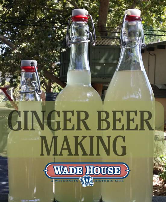 Ginger Beer Days