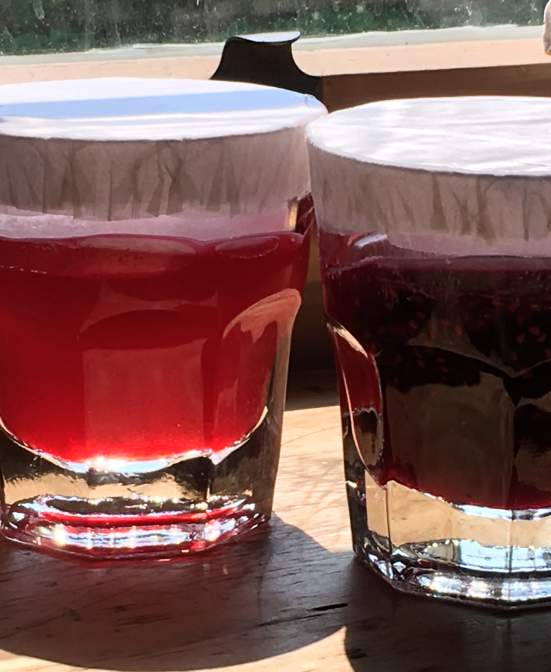Is it a Jam? Is it a Jelly?