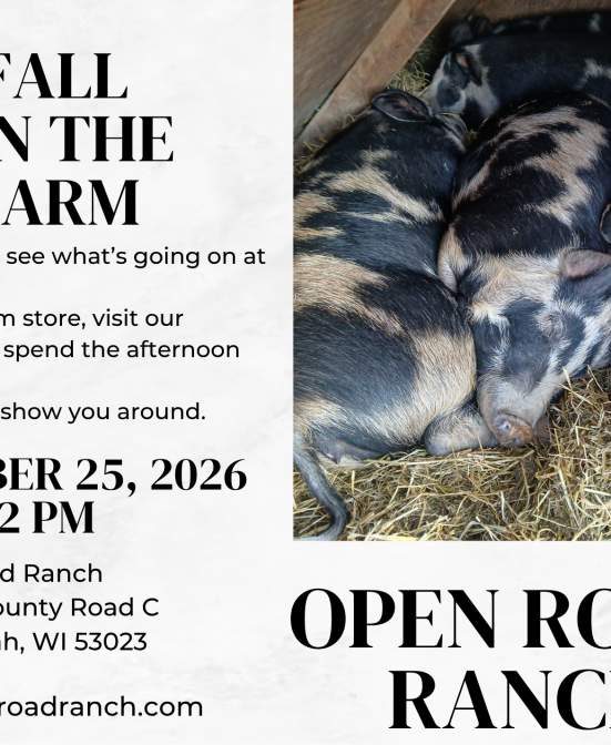 Fall on the Farm at Open Road Ranch
