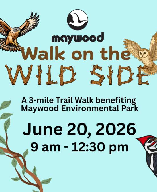 Maywood Presents: Walk On the Wild Side