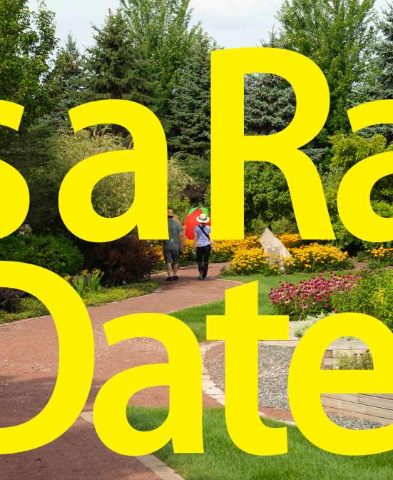Plein Air: Art in the Gardens