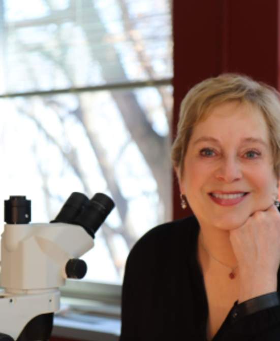 Wade House Timeless Tales Speaker Series: May 4