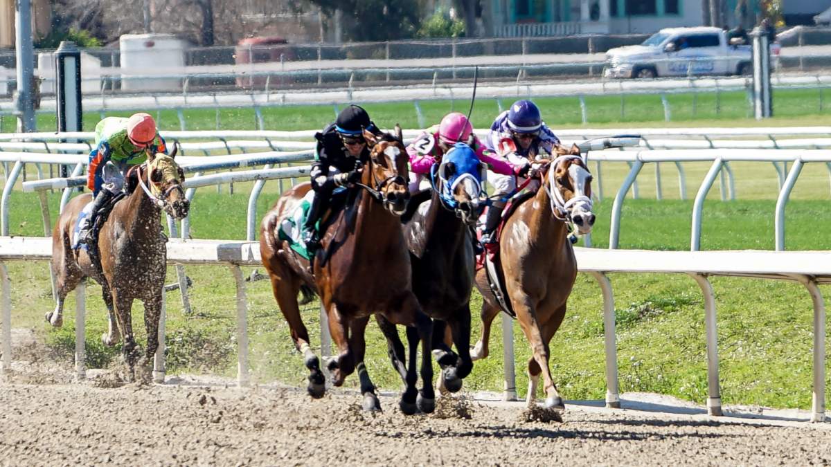 Thoroughbreds racing at the Fair Grounds