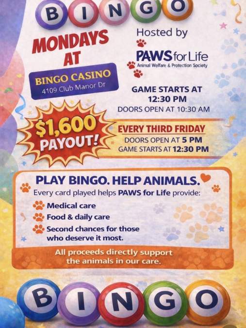 Bingo Paws for Life