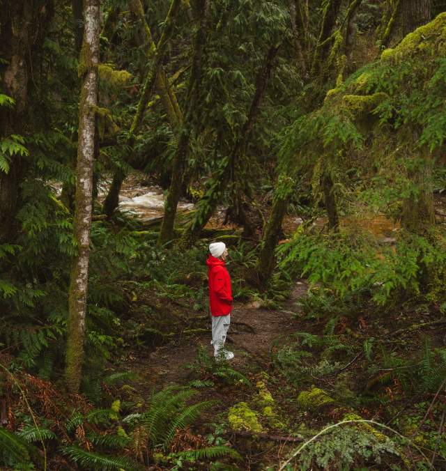 8 Natural Wonders of the Sunshine Coast