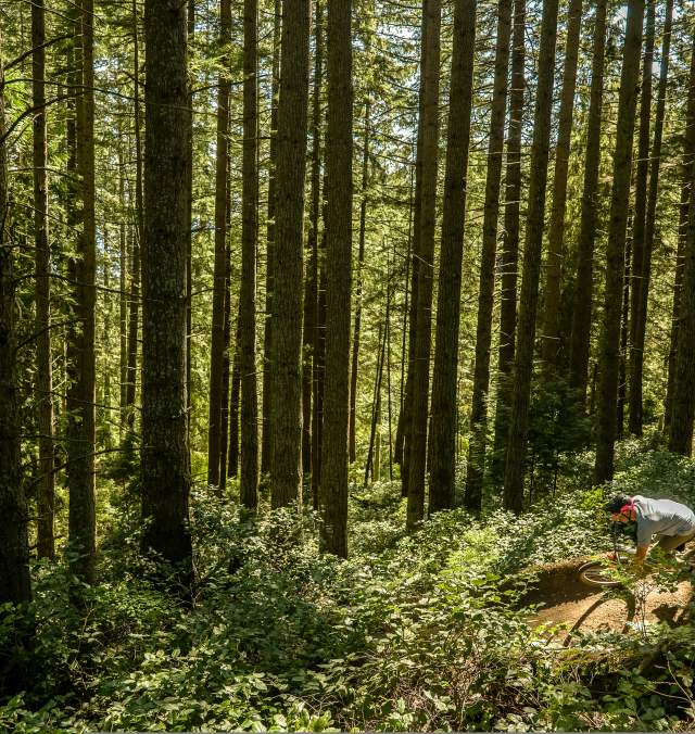 10 Tips for First-Time Mountain Bikers on the Sunshine Coast