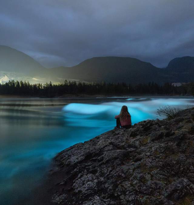 Where to Experience Bioluminescence on the Sunshine Coast