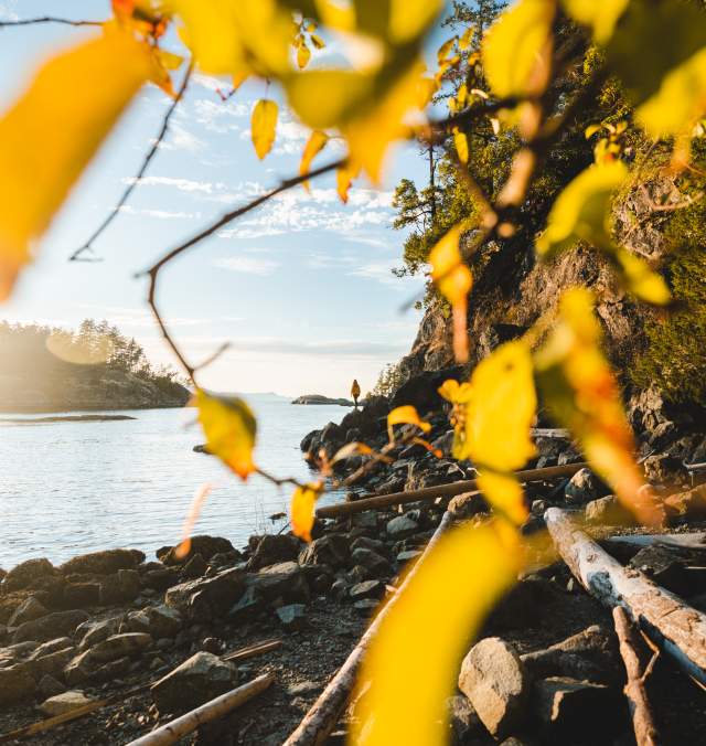 7 Ways to Experience Fall on the Sunshine Coast