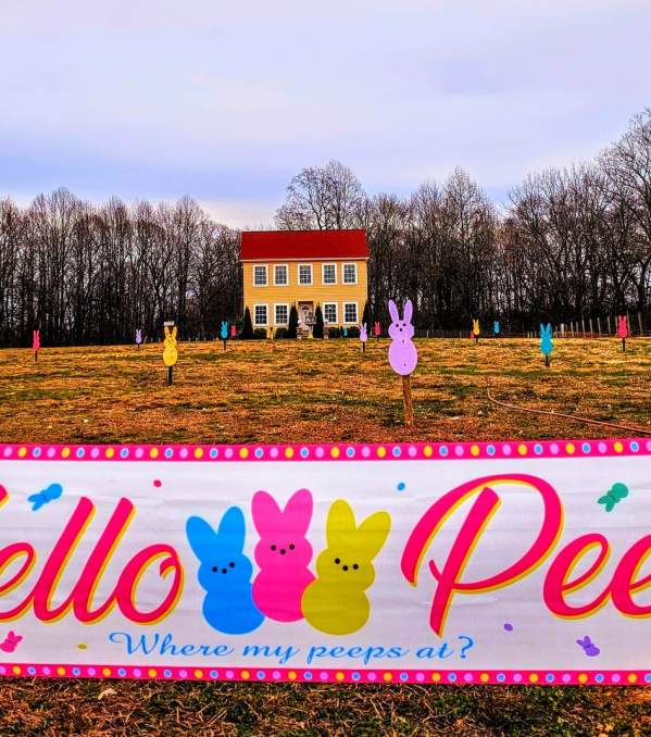 Easter Egg Hunts, Brunches & More
