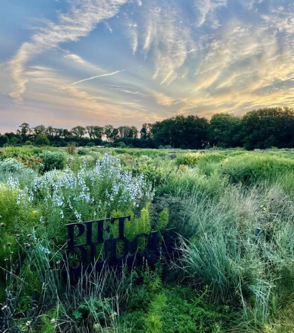 Venture Beyond the Sand in Southern Delaware