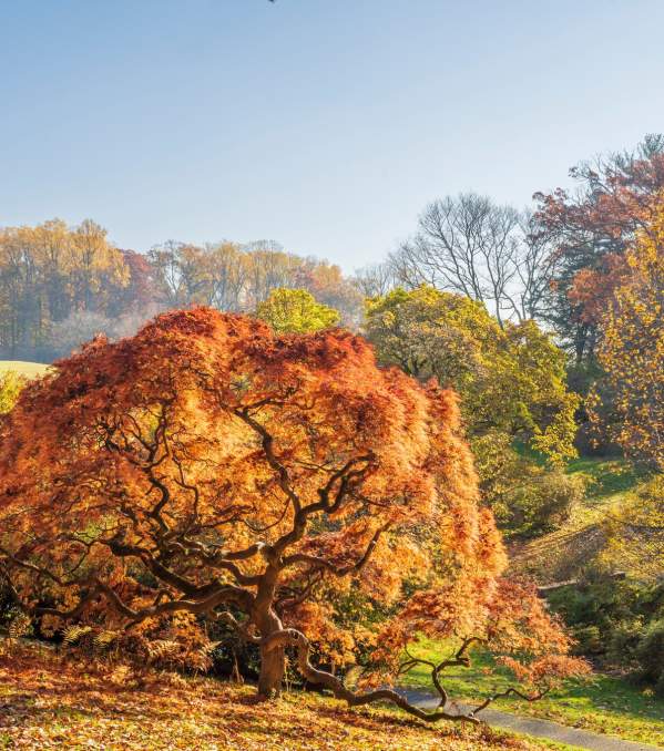 Introduce the Fall Vibes in Delaware