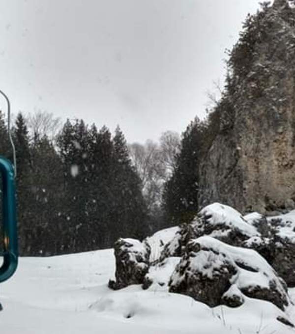 Twilight Turtle Trek