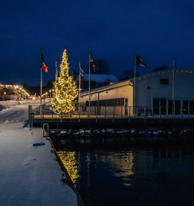 Tree Lighting and Pavilion