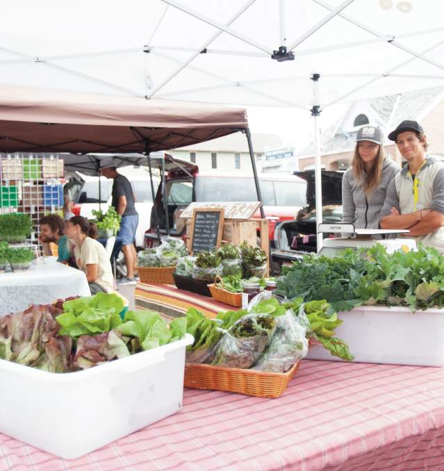 Bayfield Farmers Market - Hero