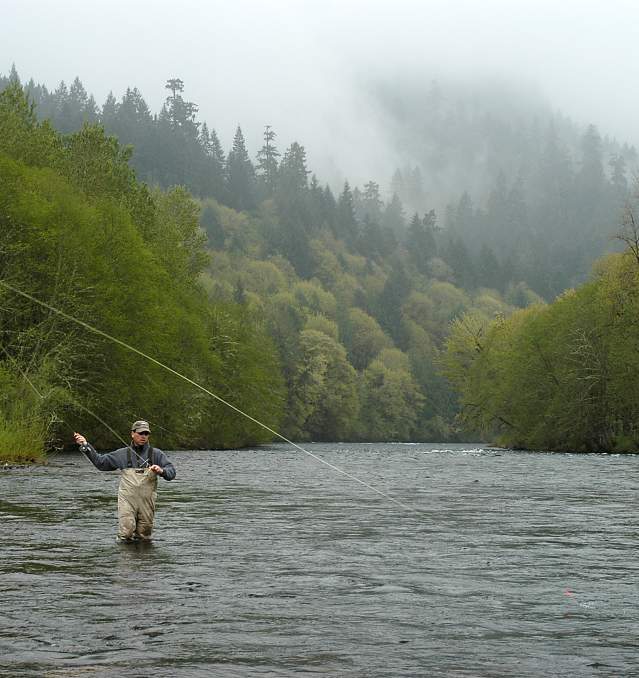 Road Trip: McKenzie River