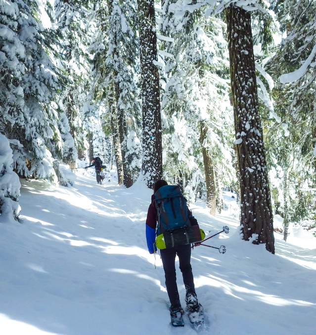 How To Get To The Snow
