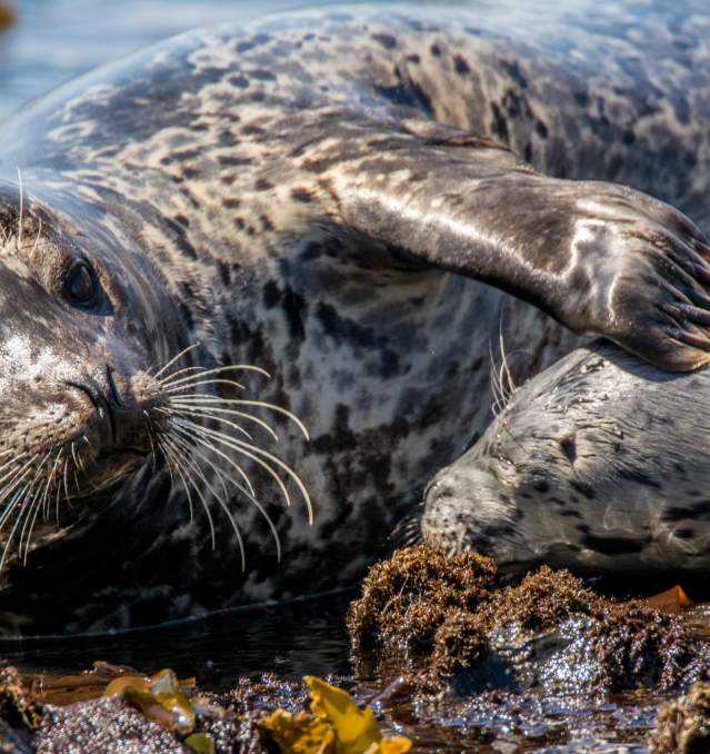 A Three-Day Weekend on the Coast