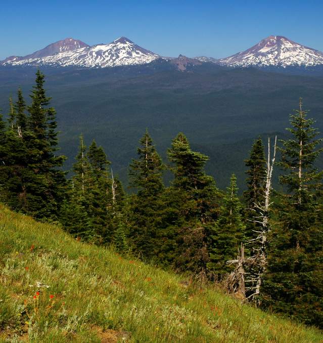 A Local Guide to the Pacific Crest Trail