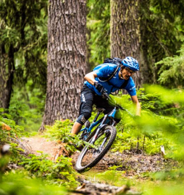 Mountain Biking Alpine Trail by Anthony Smith