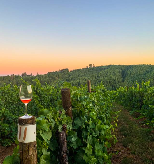 Junction City Wine Country