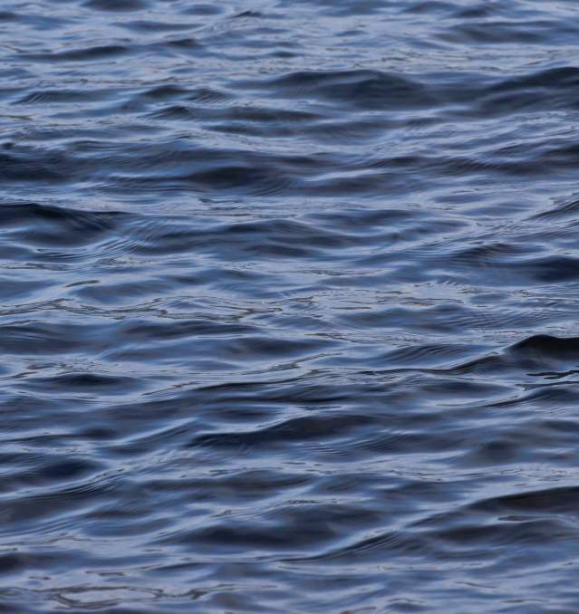 Willamette River Trashy Tuesday On-Water Cleanup