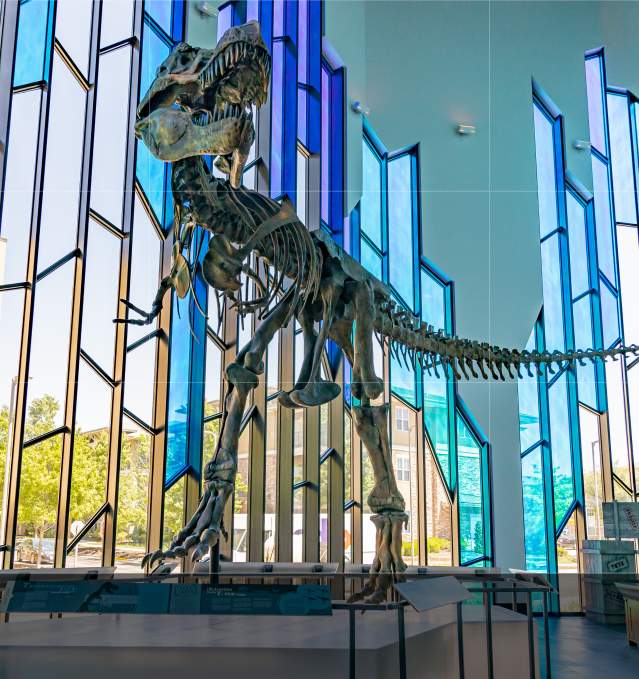 Museum at Prairiefire T Rex