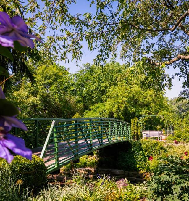 Arboretum Bridge