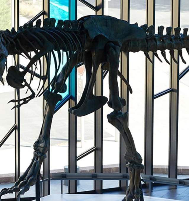 dinosaur-museum-at-prairiefire