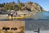 Catalina Tours