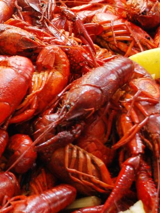 Slidell's Annual Crawfish Cook-off