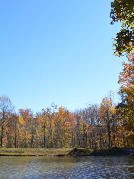 Locust Shade Park