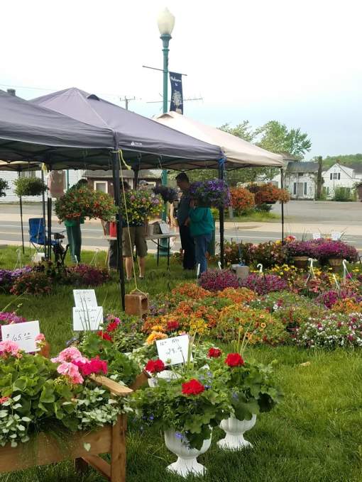 Town of Haymarket Farmers Market