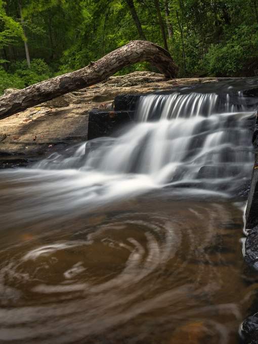 Prince William Forest Park