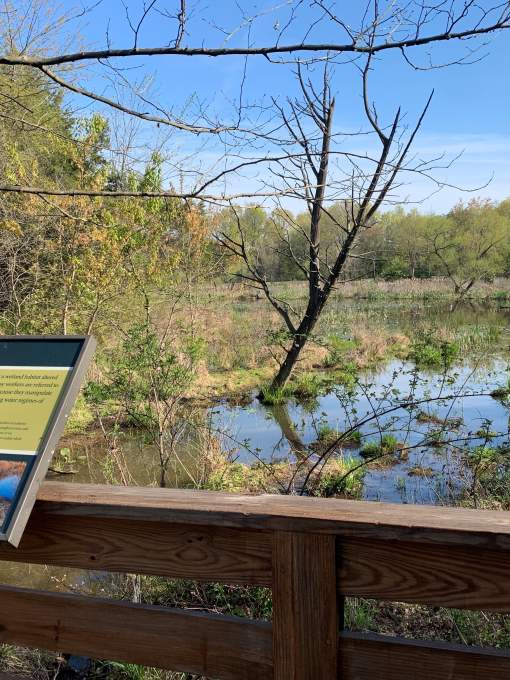 Leopold's Preserve