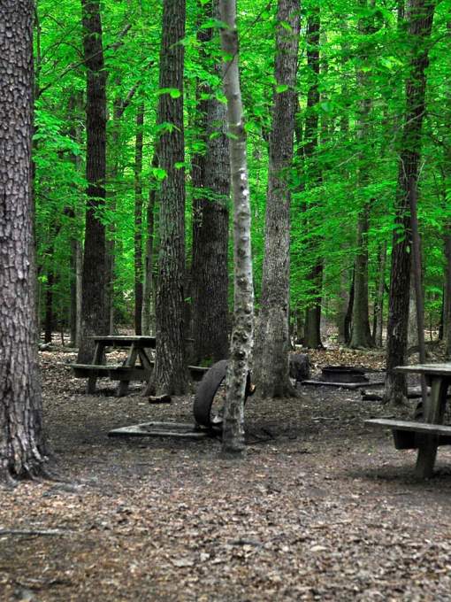 Turkey Run Ridge Group Campground
