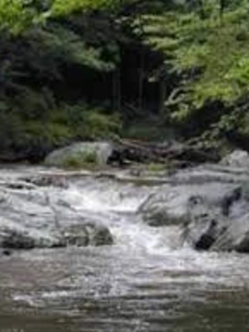 Oak Ridge Campground