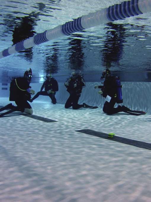 Patriot Diving