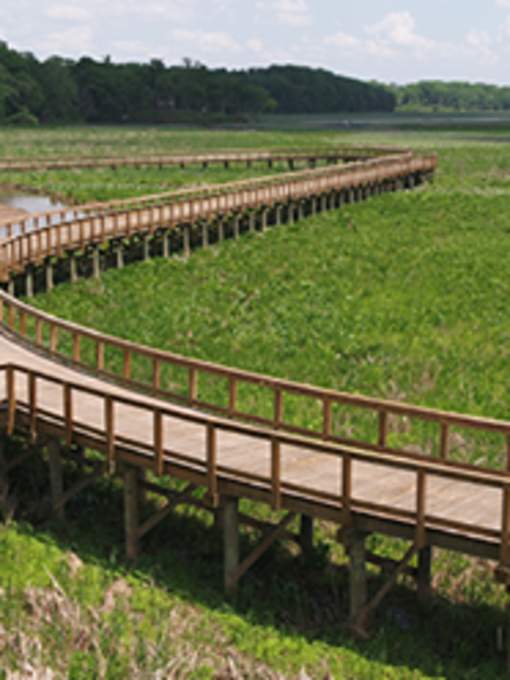 Neabsco Creek Boardwalk