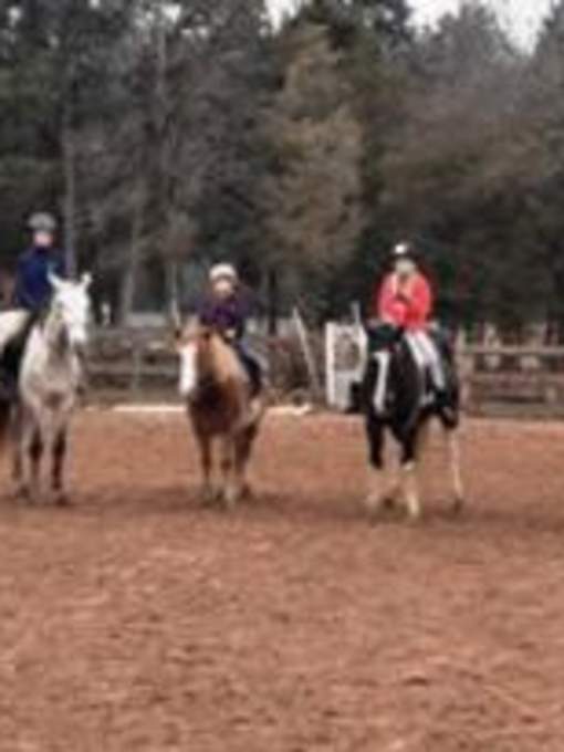 Silver Eagle Stable
